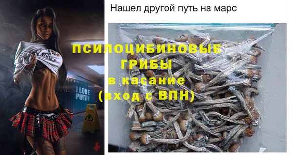 не бодяженный Алексин