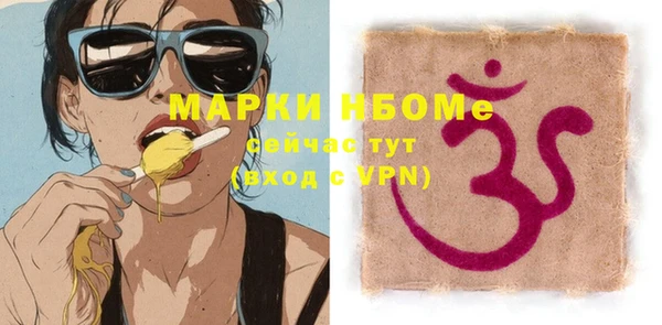 хмурый Алзамай
