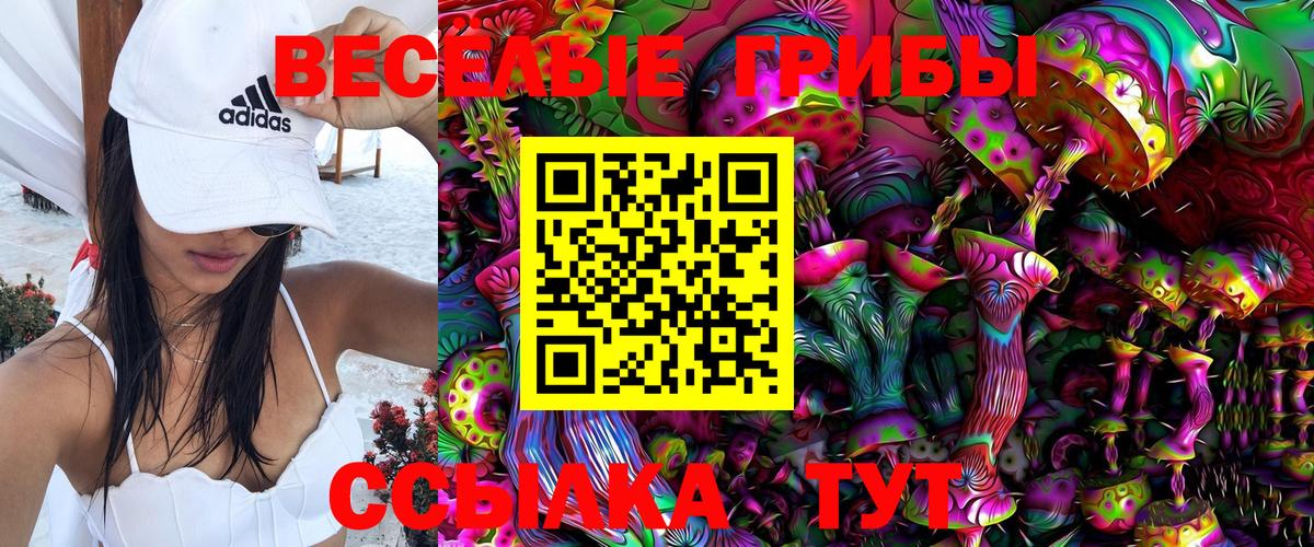 Галлюциногенные грибы Psilocybine cubensis Аргун